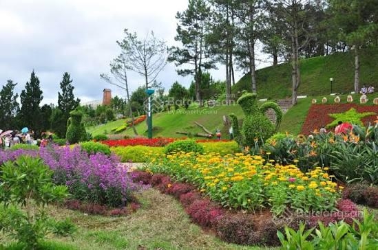Bán đất nền Đà Lạt đường Trần Nhân Tông