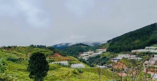 Mua bán đất Đà Lạt tại Măng Lin