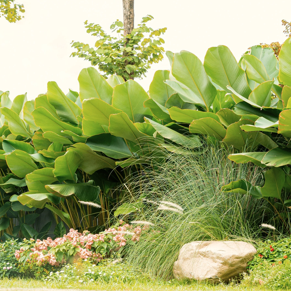 Dự án Hồ Mây Retreat Bảo Lộc – Thiên đường nghỉ dưỡng và cơ hội đầu tư sinh lời bền vững