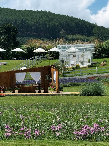 Dự án Hồ Mây Retreat Bảo Lộc – Thiên đường nghỉ dưỡng và cơ hội đầu tư sinh lời bền vững