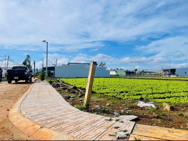 Mua bán đất Đơn Dương thị Trấn Thạnh Mỹ