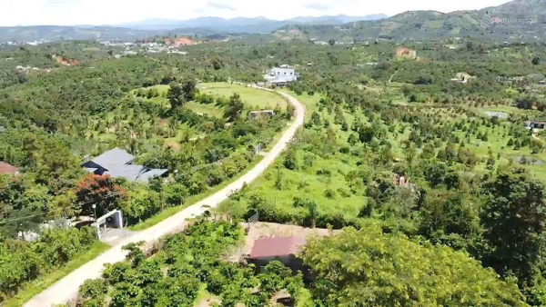 Bán đất Bảo Lâm xã Lộc Nam giá ngộp