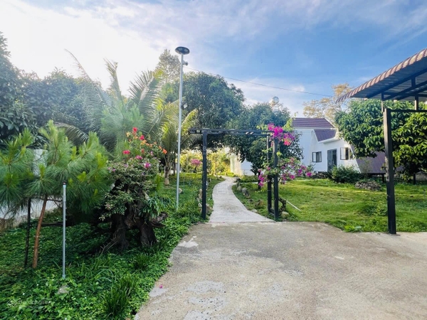 Mua đất Đạ Huoai giá tốt