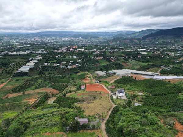 Đất Lâm hà tại Đông Thanh giá ngộp