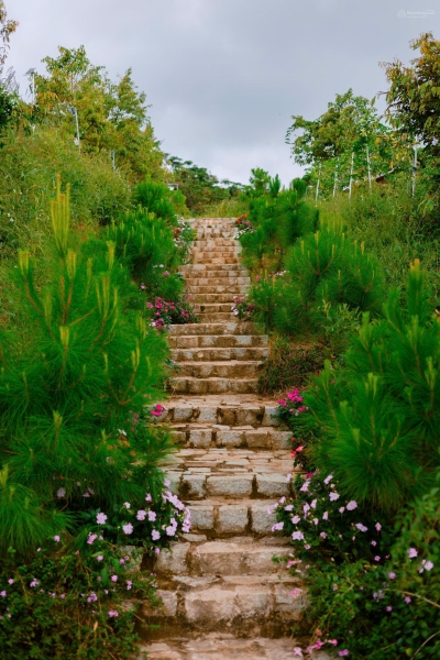 Bán đất nền tại khu biệt lập view săn mây