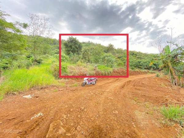 Bán đất Bảo Lâm xã Lộc Tân view hồ