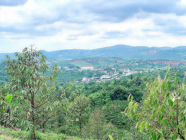 Bán đất nền Đà Lạt tại đường Thống Nhất giá tốt