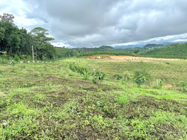 Đất Lâm hà phù hợp đầu tư
