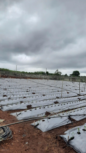 Bán đất Đức Trọng gần sân bay Liên Khương