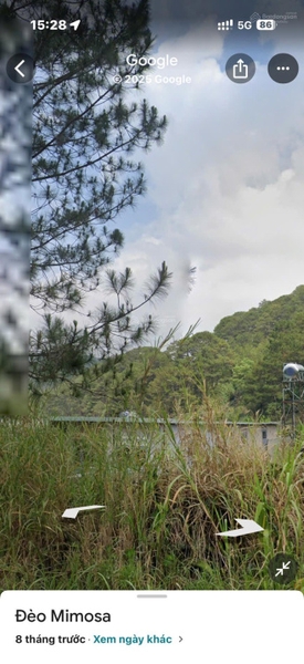 Mua bán đất Đà Lạt tại Bùi Thị Xuân