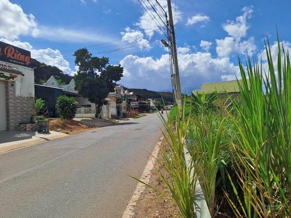 Bán đất Lâm Đồng giá rẻ tại Lâm Hà