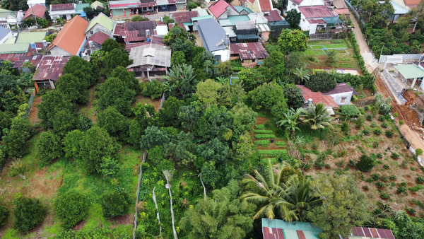 Bán đất Lâm Đồng tại đường Lạc Long Quân