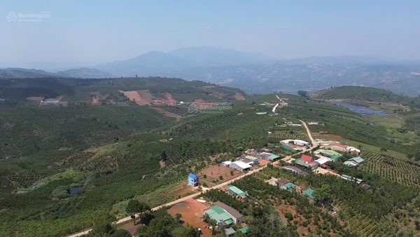 Mua nhà tại đất Di Linh