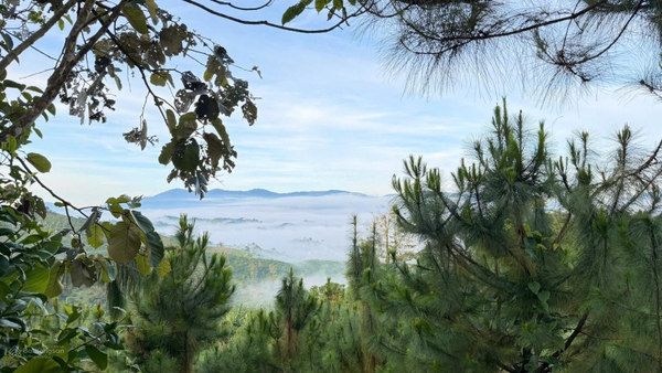 Bán đất nền tại khu biệt lập view săn mây