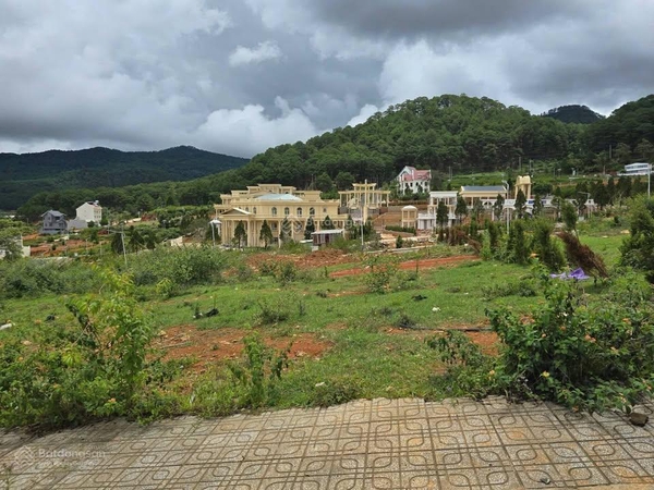 Mua bán đất Lạc Dương lô biệt thự