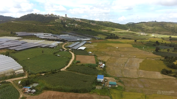 Mua bán Đông Dương xã Tu Tra giá tốt