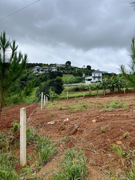 Bán đất Lâm Hà full thổ cư giá ngộp