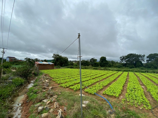 Mua bán Đông Dương xã Tu Tra giá tốt