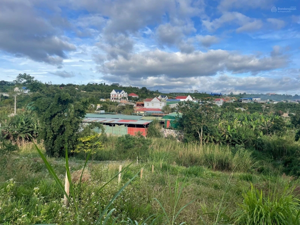 Đất Lâm Hà view mát