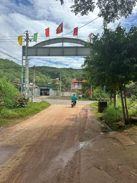 Mua bán đất Đơn Dương chính chủ