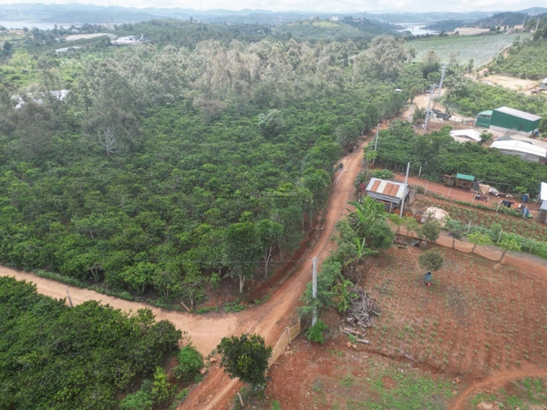 Bán gấp đất Đức Trọng