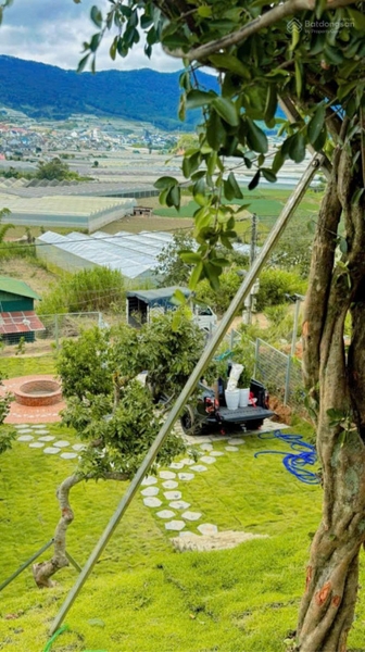 Mua bán đất Đà Lạt tại Phước Thành