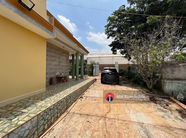 Mua đất Đơn Dương tại Suối Thông B