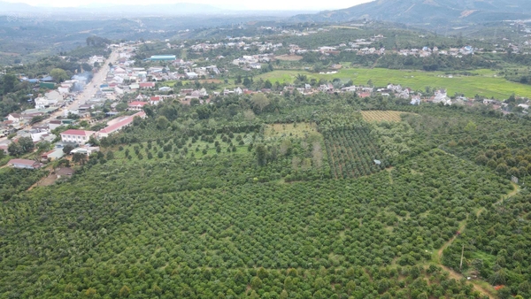 Đất Di Linh gần Liên Đầm