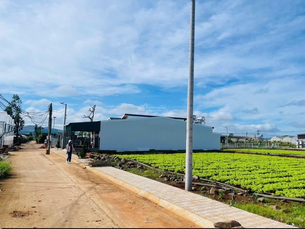 Mua bán đất Đơn Dương thị Trấn Thạnh Mỹ