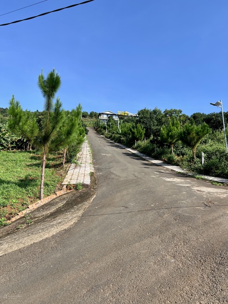 Bán đất Lâm Hà full thổ cư giá ngộp