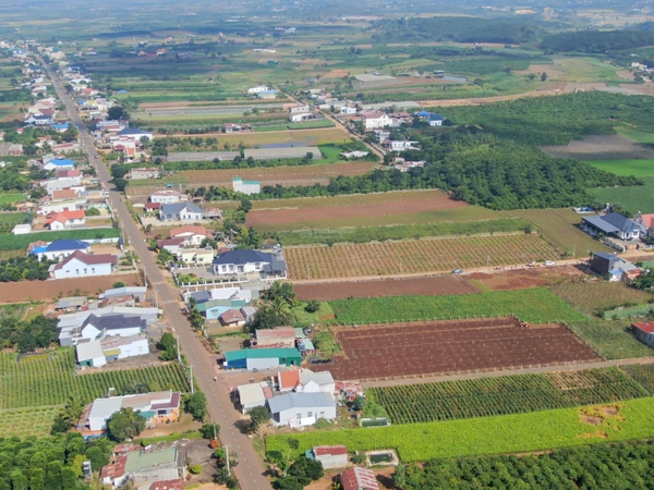 Mua bán đất Đức Trọng giá ngộp