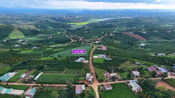 Bán đất Lâm Hà xã Hoài Đức giá tốt