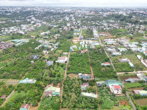Bán đất tại Lộc Sơn, Bảo Lộc