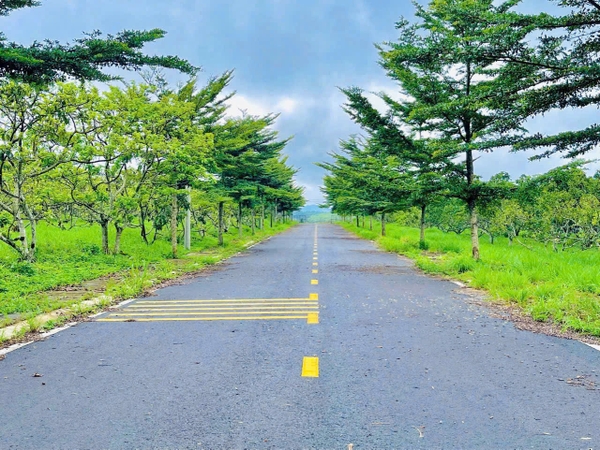Khu Dân Cư Park Hill 4C - Thiên Đường Nghỉ Dưỡng Tại Bảo Lộc