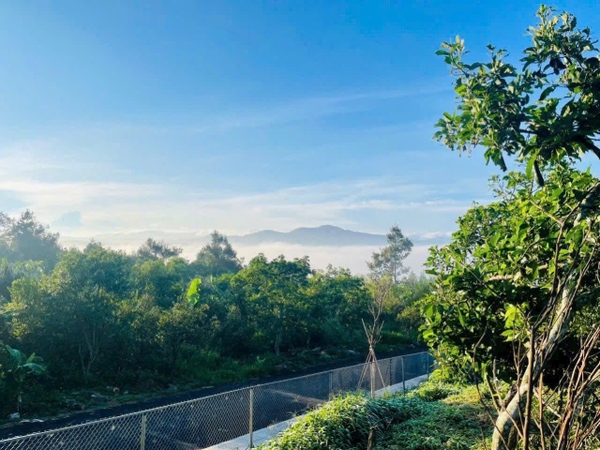 Top Garden Hill 9B – Dự Án Sinh Lời Cực Nhanh Ngay Trung Tâm Lộc Đức, Pháp Lý Sổ Riêng Từng Nền