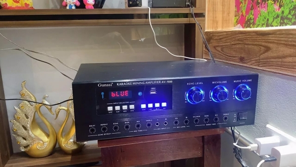 Khách đẩy liền vang AV-1500