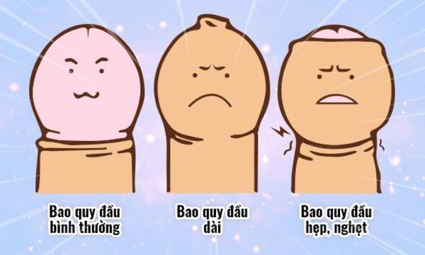 Các bệnh lý về bao quy đầu