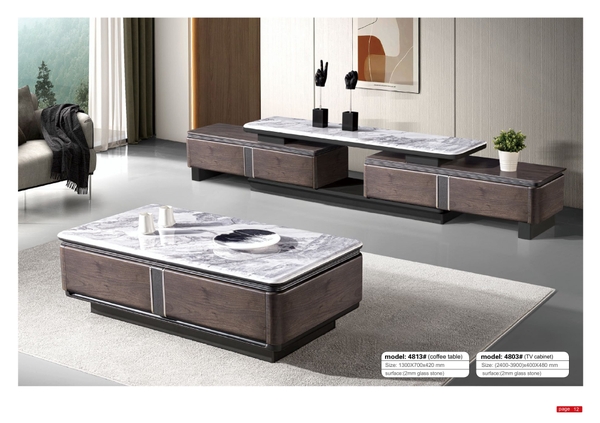 Bàn trà nhập khẩu SB4813