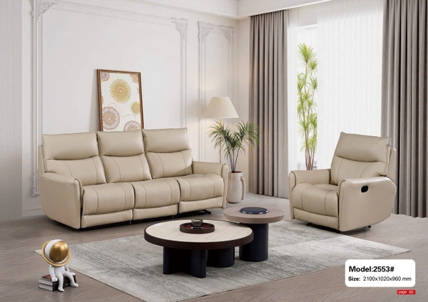 Bộ sofa nhập khẩu SA2553