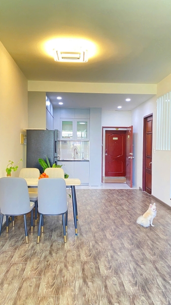 PHU MY HUNG SKY GARDEN APARTMENT WITH 2 BEDROOMS FOR RENT - 71M2 - FULL FURNISHED