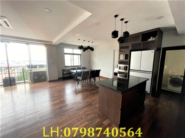 PHU MY HUNG PENTHOUSE CANH VIEN 4 BEDROOMS FOR SELL
