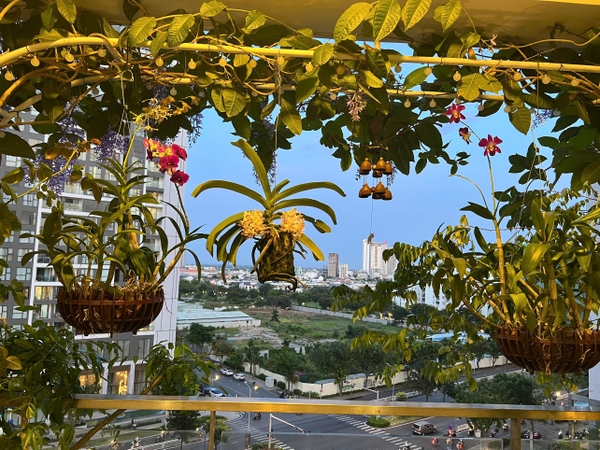 NHA BE RIVERSIDE RESIDENCE APARTMENT 3 BEDROOMS FOR SELL