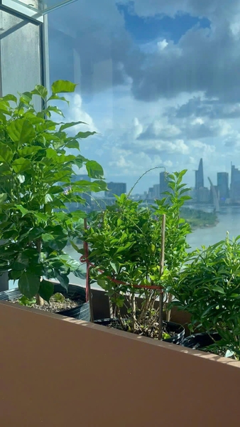 BINH THANH DISTRICT SUNWAH PEARK FOR SALES WITH 110M2 | 2 BEDROOMS