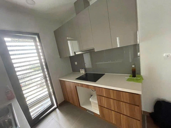 DISTRICT 7 ECOGREEN SAIGON 2 BEDROOMS FOR SALE 70M2 FULL FURNITURE