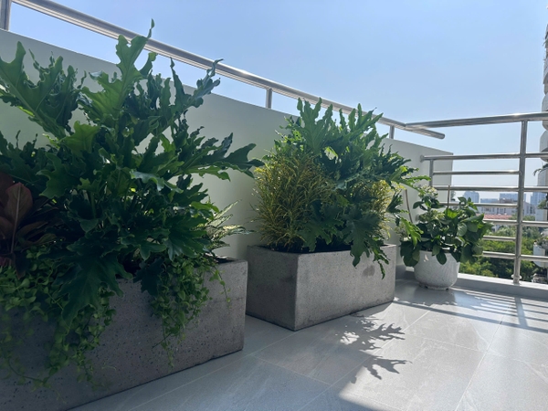 PHU MY HUNG FOR SALE MY PHUC APARTMENT 3 BEDROOMS NEW FURNISHED