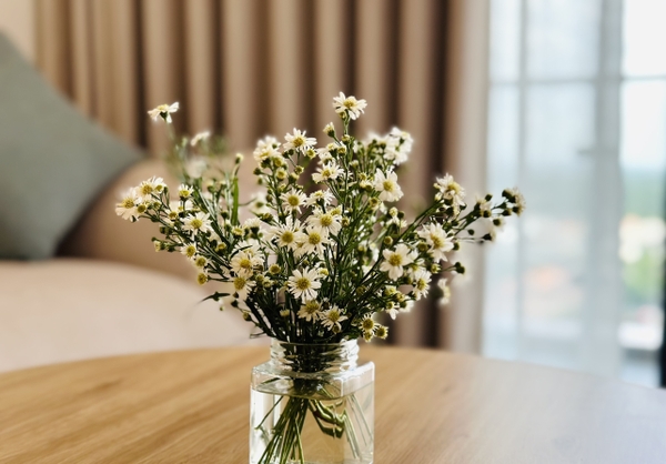 PHU MY HUNG ANTONIA APARTMENT 2 BEDROOMS  FOR RENT