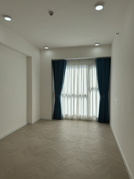 PHU MY HUNG ANTONIA APARTMENT 2 BEDROOMS BASIC OPTIONS FOR RENT