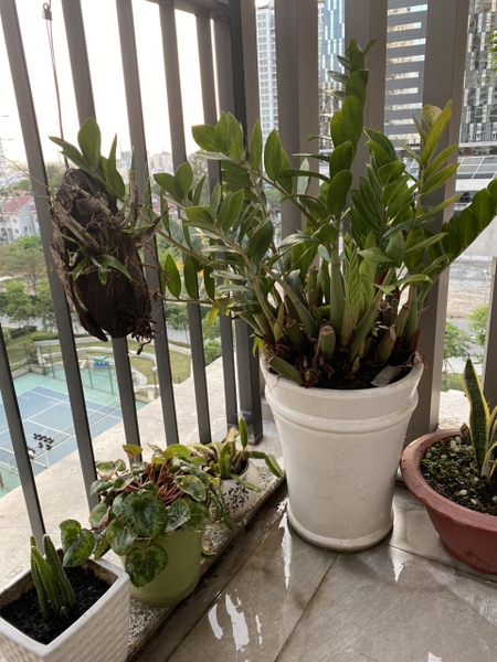 DISTRICT 7 NHA BE SAGON SOUTH 3 BEDROOMS 101M2 FOR RENT