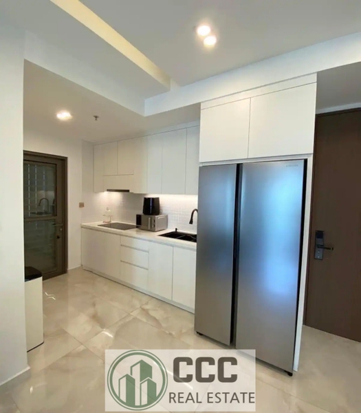 DISTRICT 7 ASCENTIA APARTMENT 2 BEDROOMS FULL OPTIONS FOR SELL