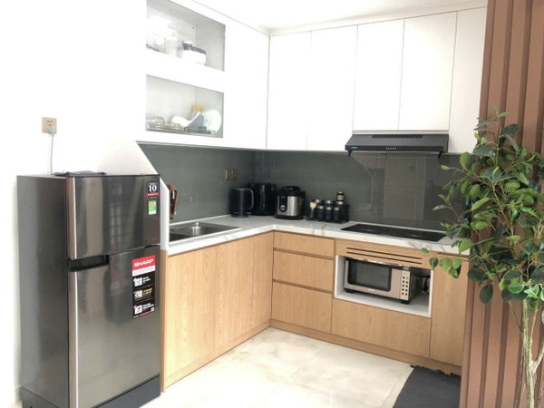 DISTRICT 7 APARTMENT 1 BEDROOM FULL OPTIONS FOR RENT